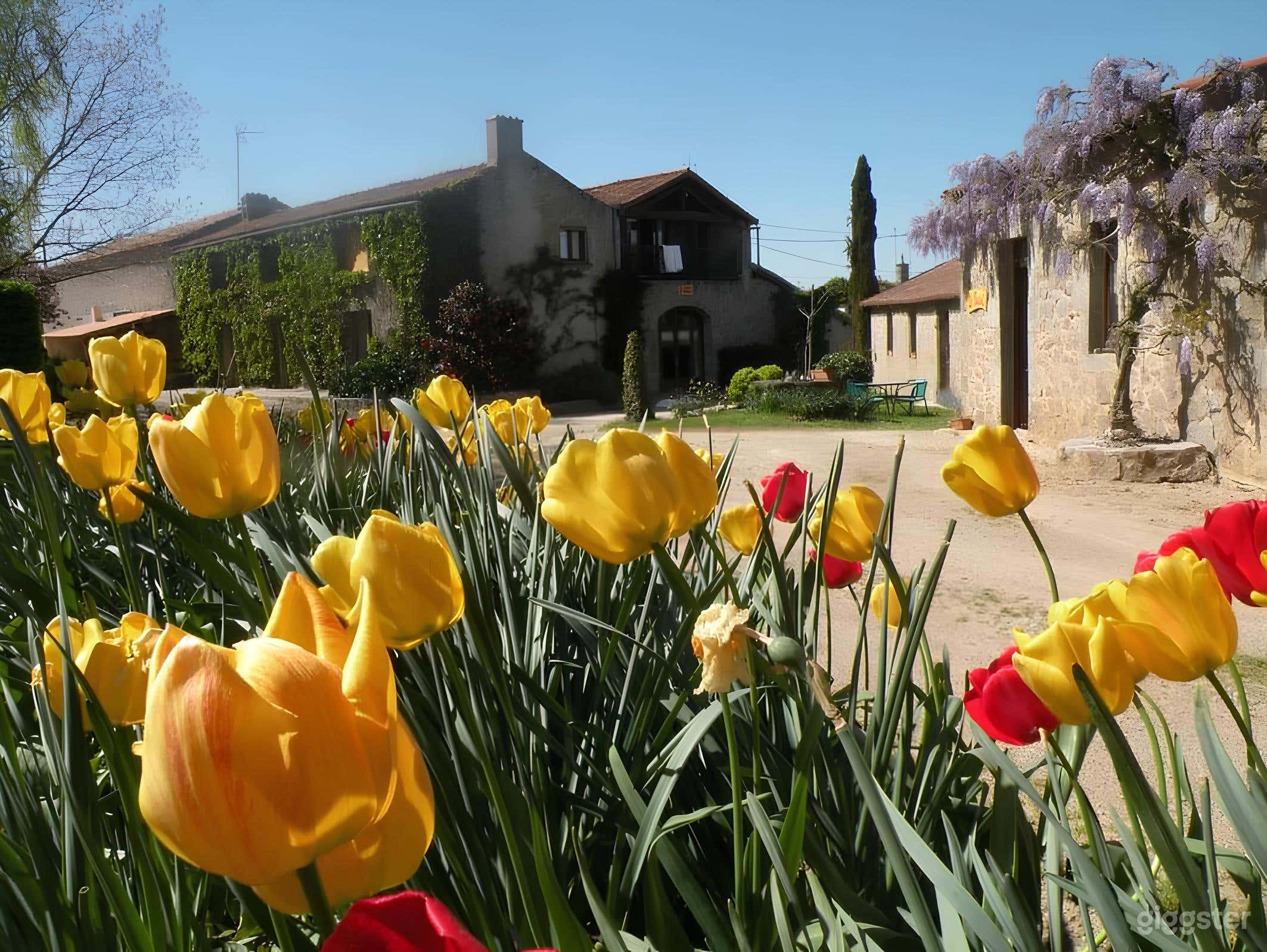 Photo de Une Ferme rénovée, Chambres et salles de réception, au calme 1
