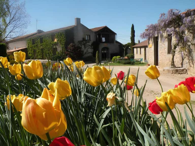  Une Ferme rénovée, Chambres et salles de réception, au calme 