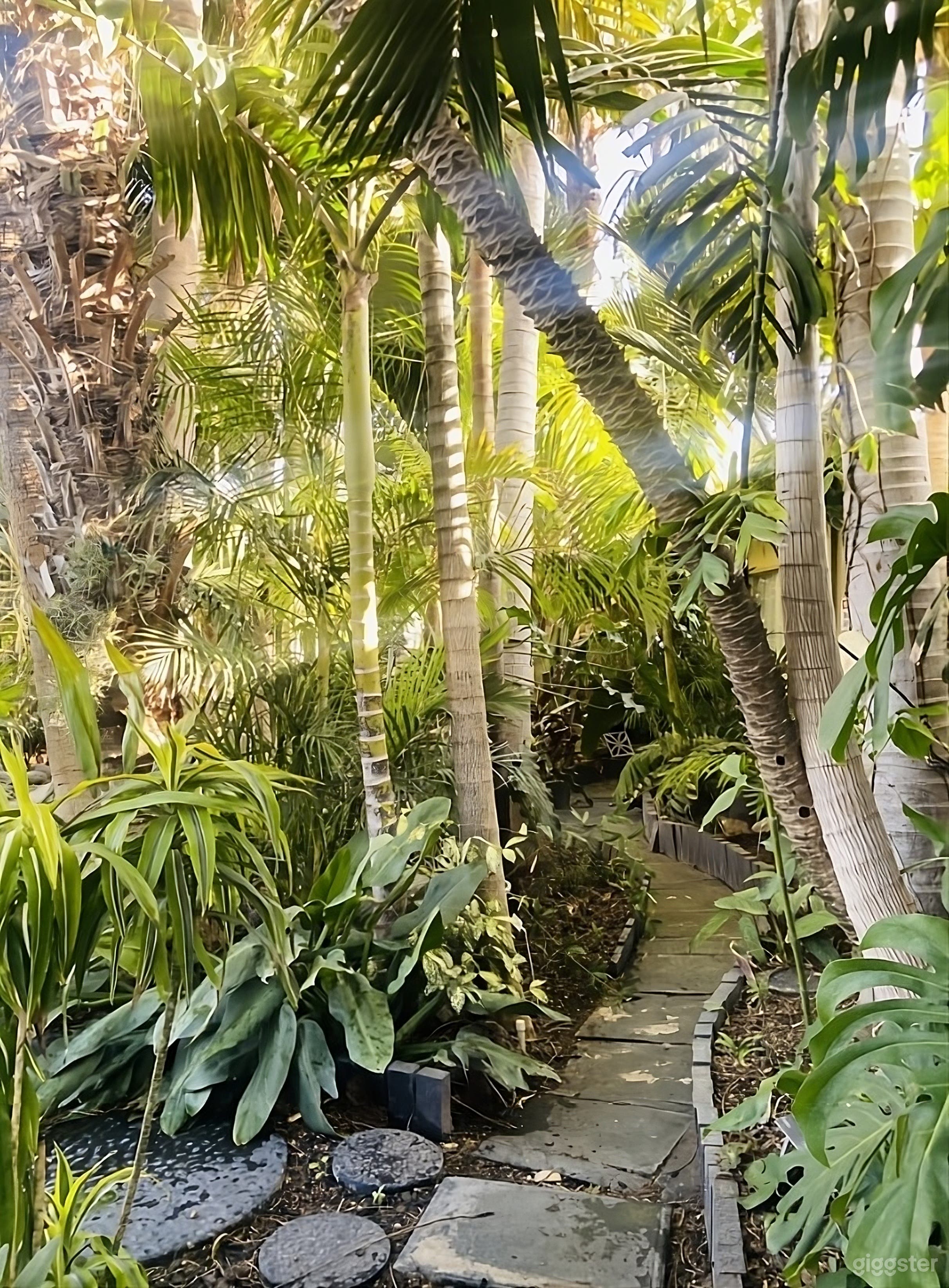 Amazing Backyard and Exotic Garden Retreat Photo 4