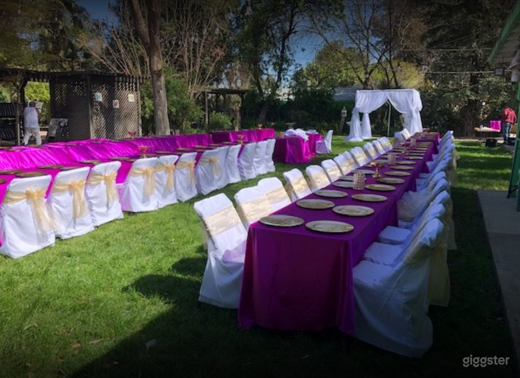 Cozy and Beautiful Garden for Photoshoots Photo 3