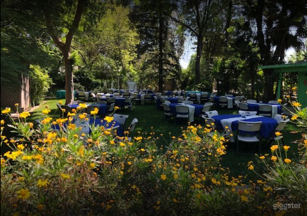 Cozy and Beautiful Garden for Photoshoots Photo 2