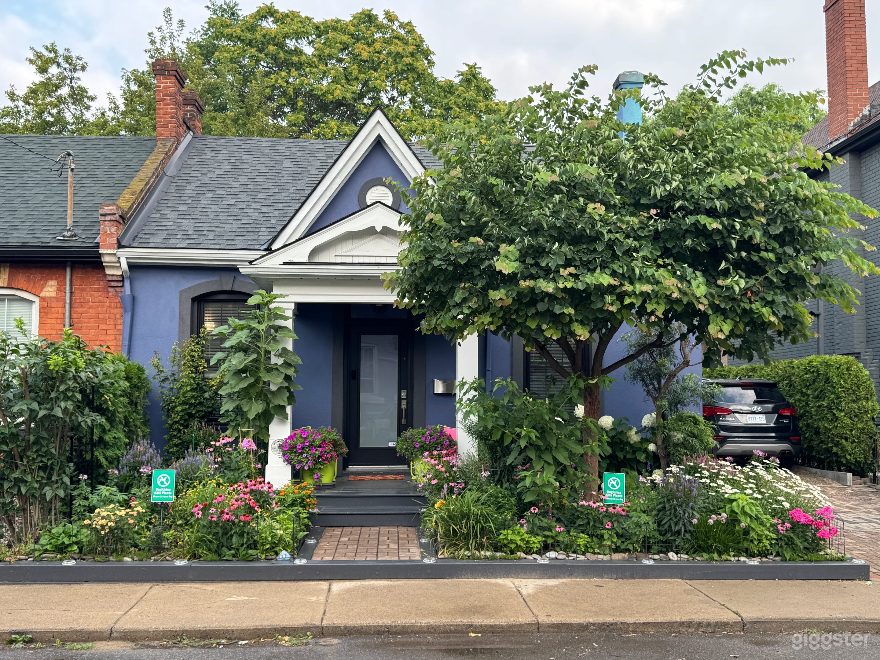 Whimsy, Magic, Happiness and Fun live here! Photo 1