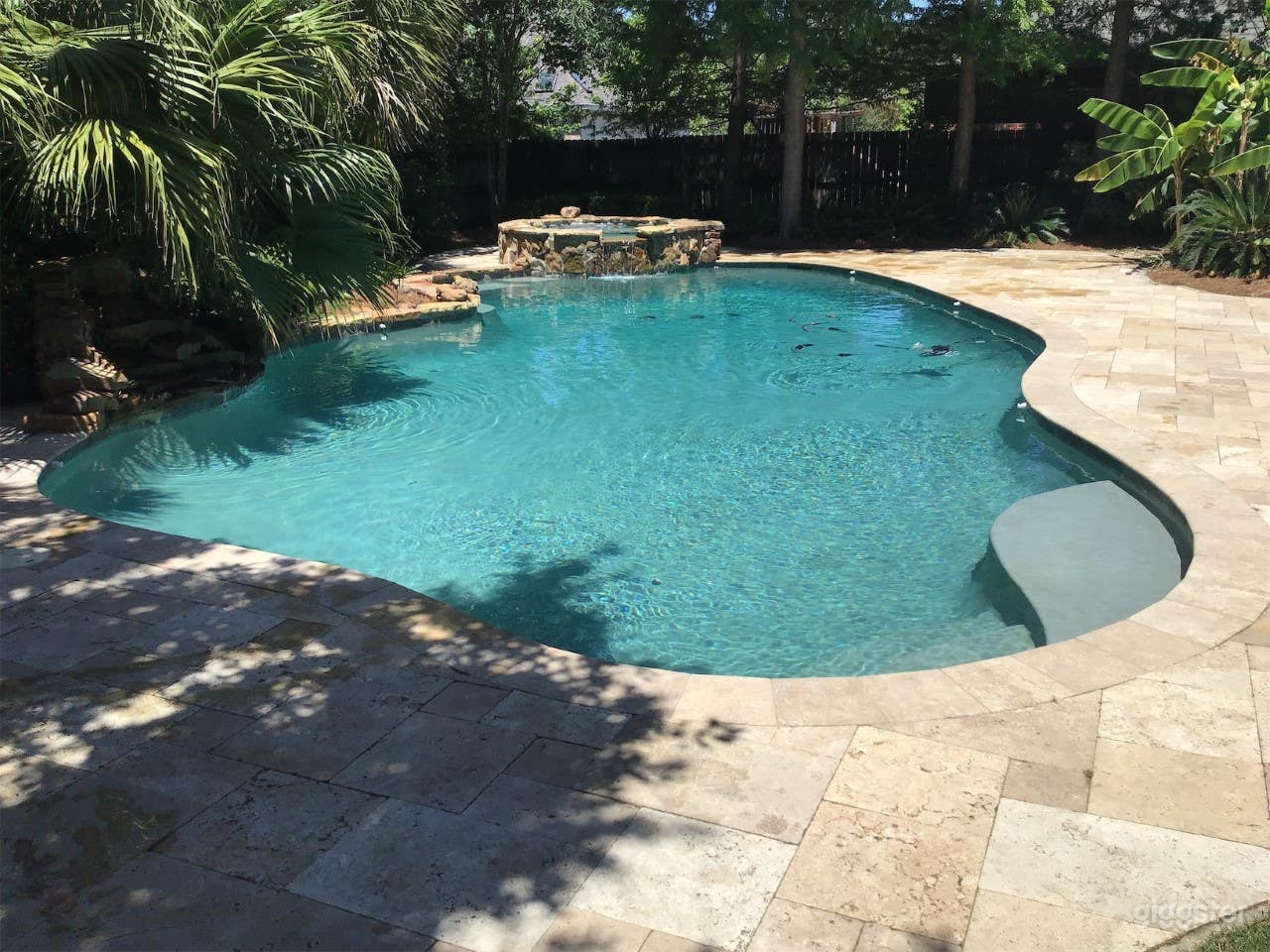 Pool with tropical garden