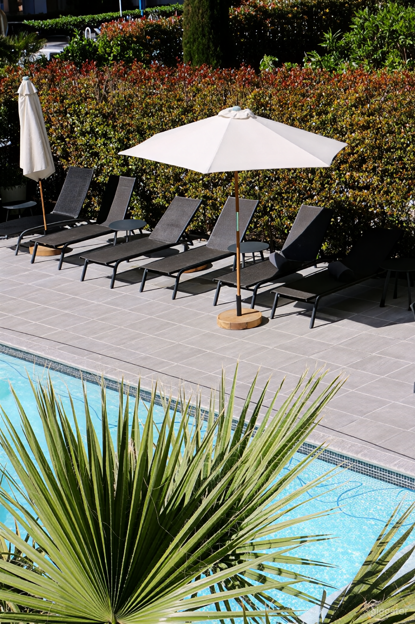 Photo de Hotel pool and garden lounge 4