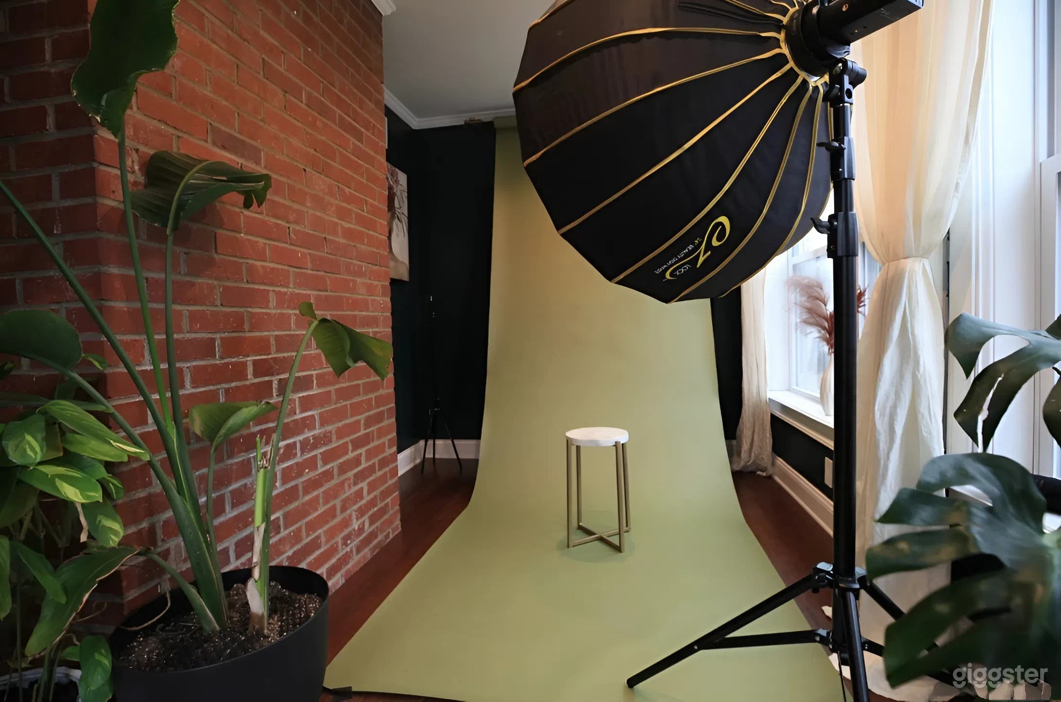 Sun-Filled Photography Studio with Wraparound Windows Photo 2