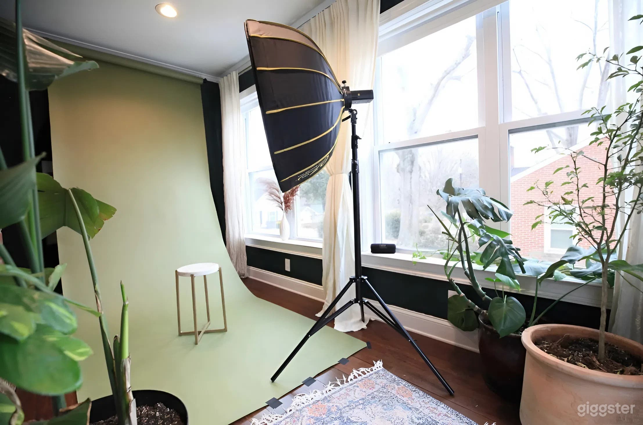 Sun-Filled Photography Studio with Wraparound Windows Photo 1