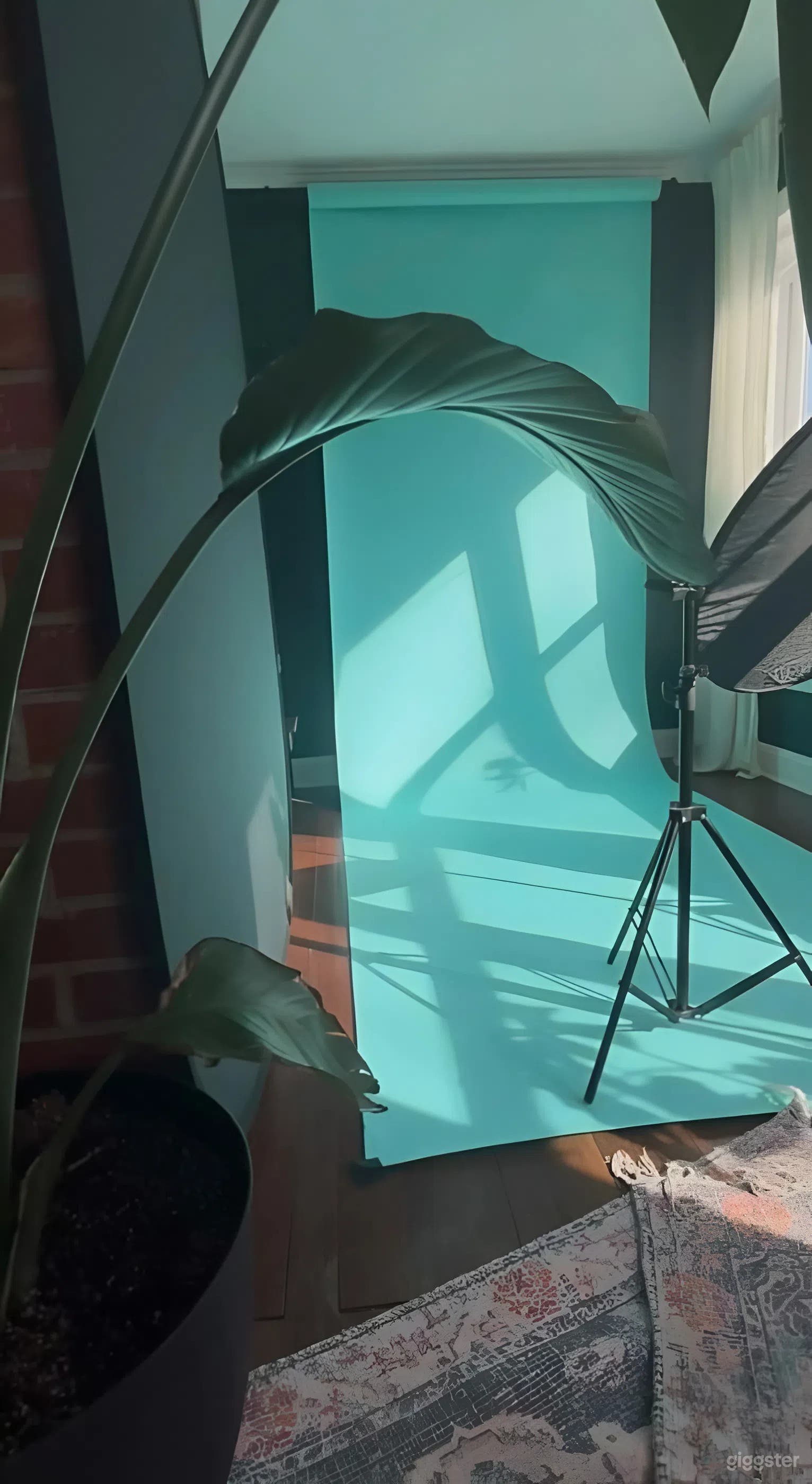 Sun-Filled Photography Studio with Wraparound Windows Photo 4