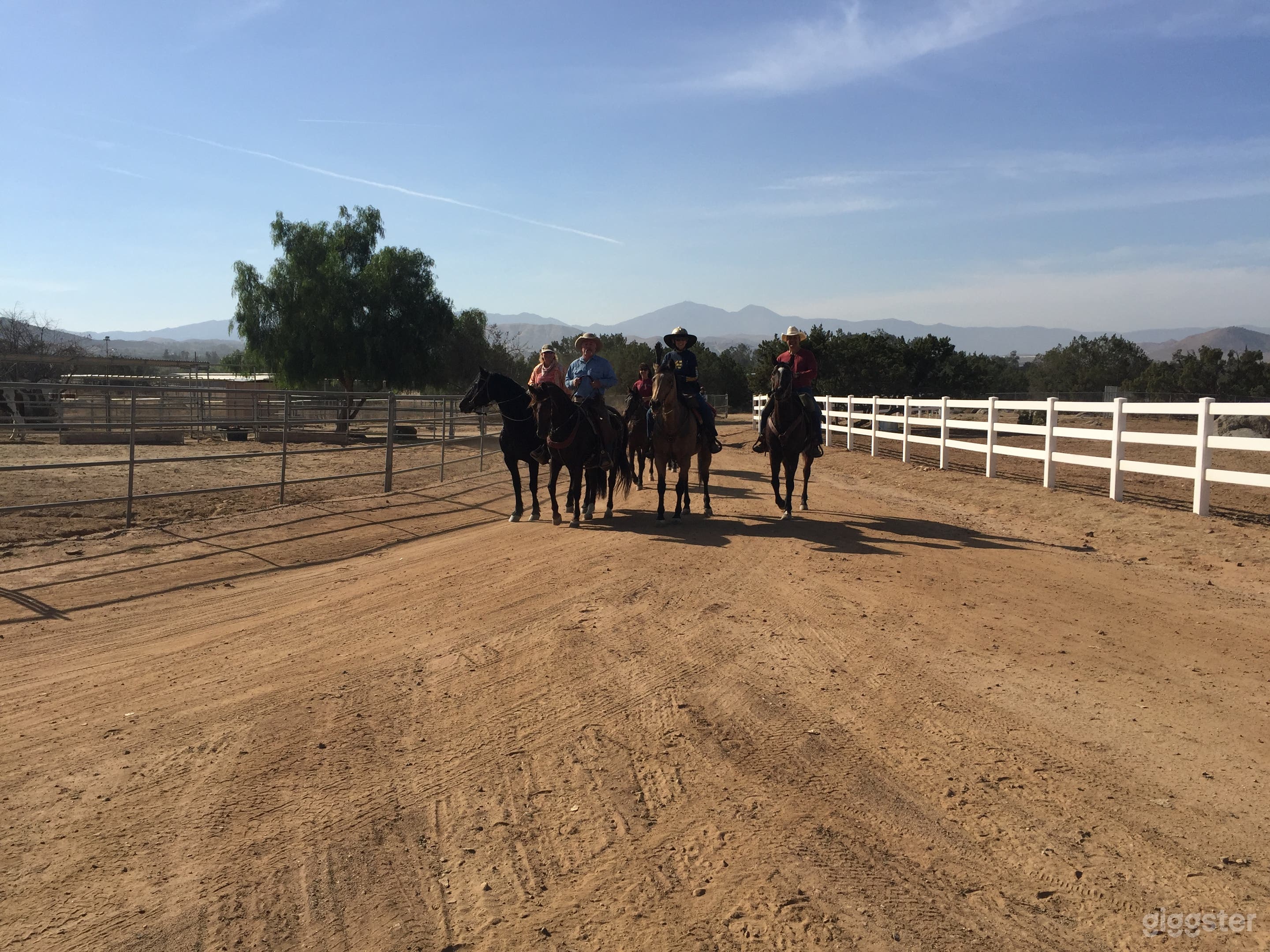 Few friends coming for lunch