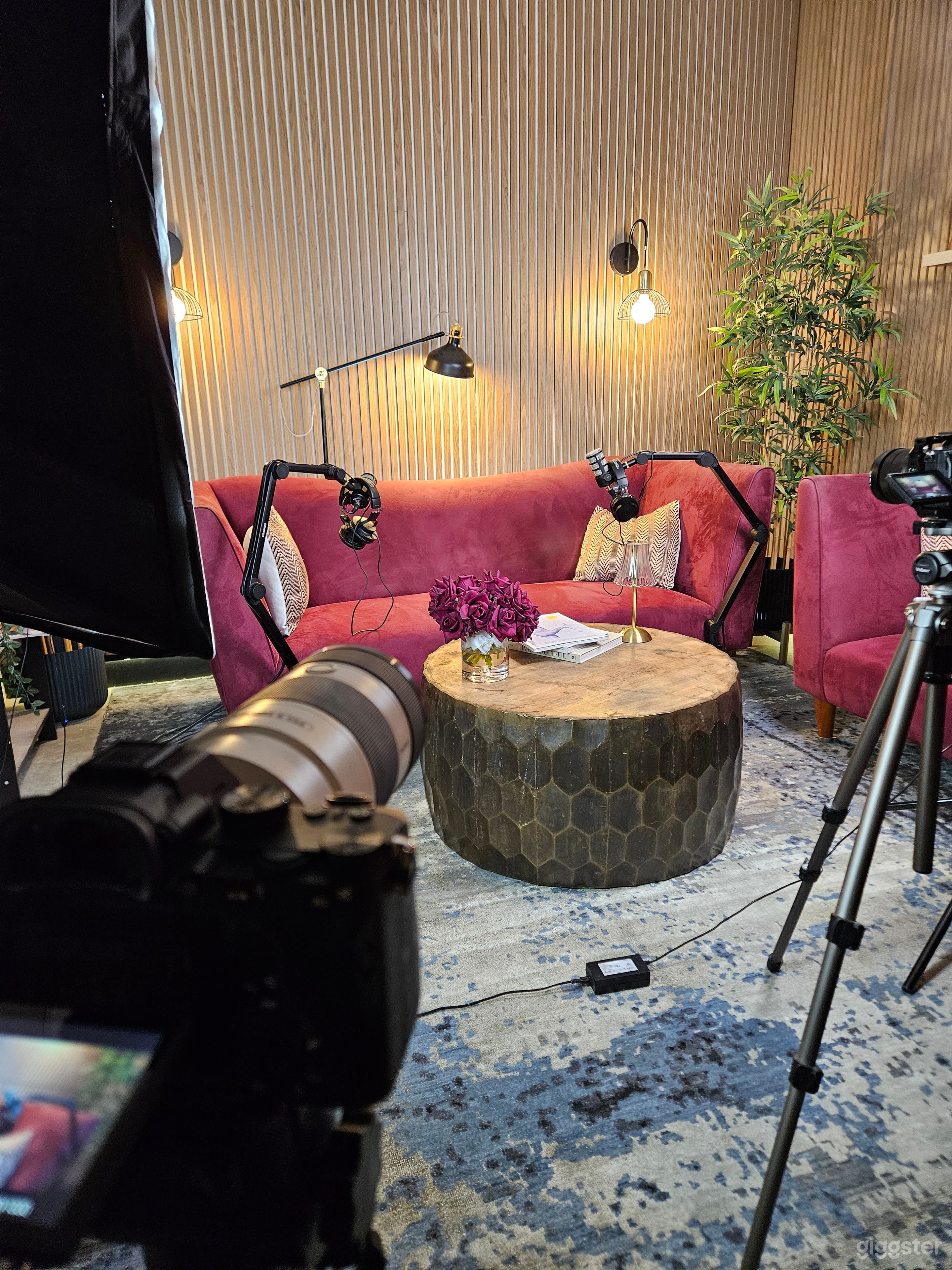 Stylish Podcast Studio with Luxe Velvet Lounges | Photo 3