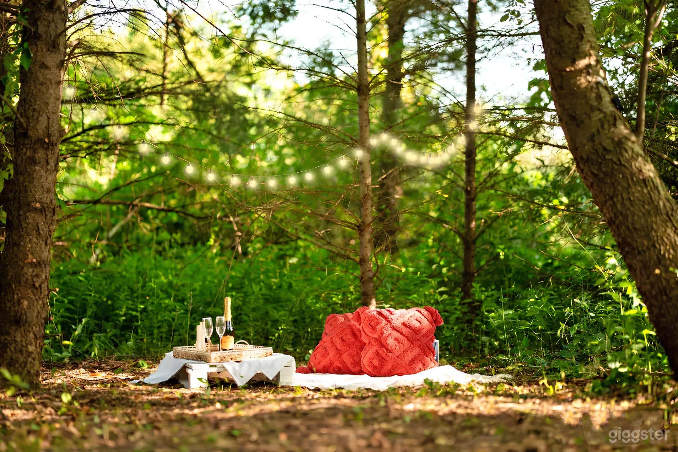 Woods &amp; Flower Valley for Shoots Photo 4