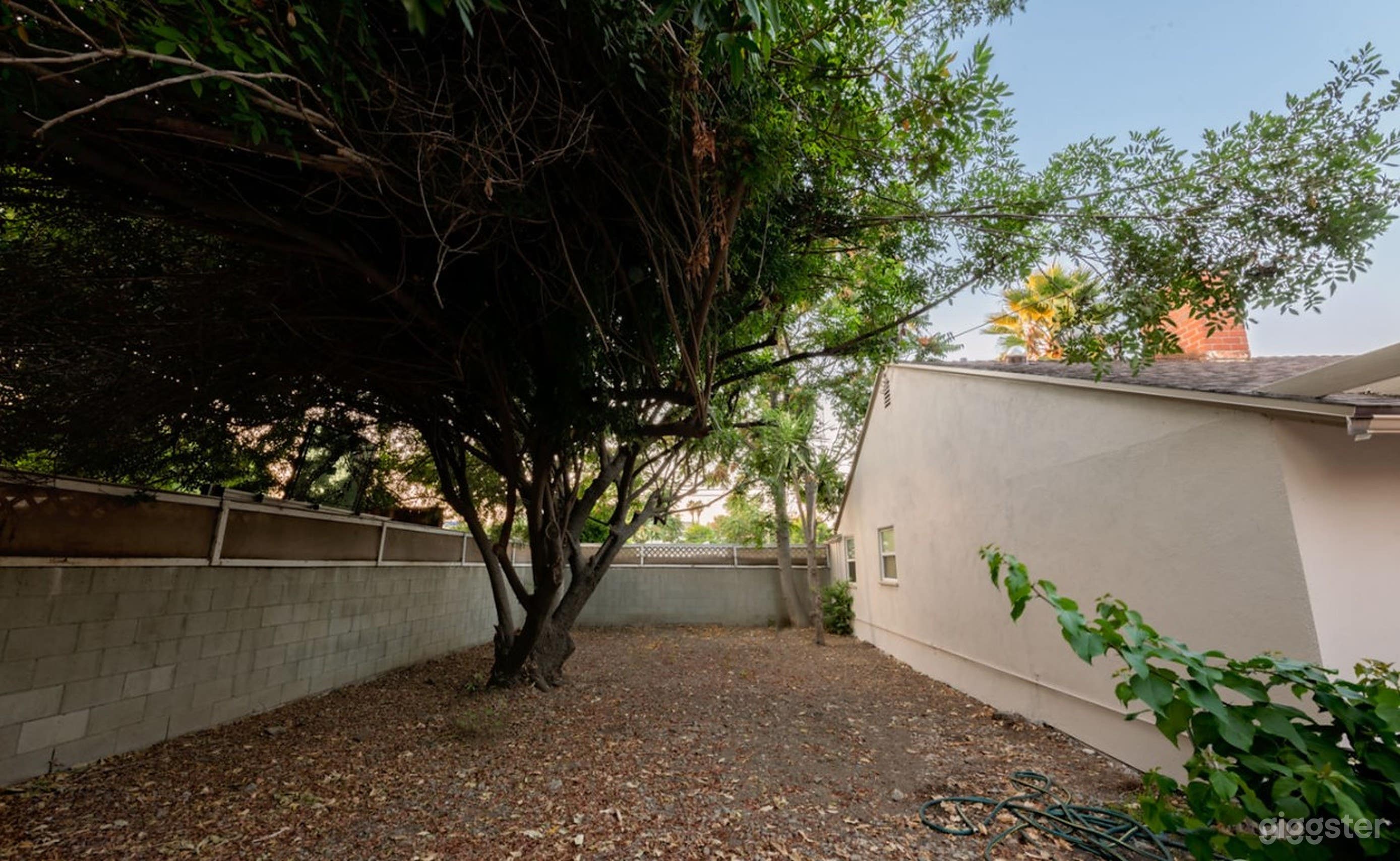 Huge Backyard Open For Film And Production Photo 3