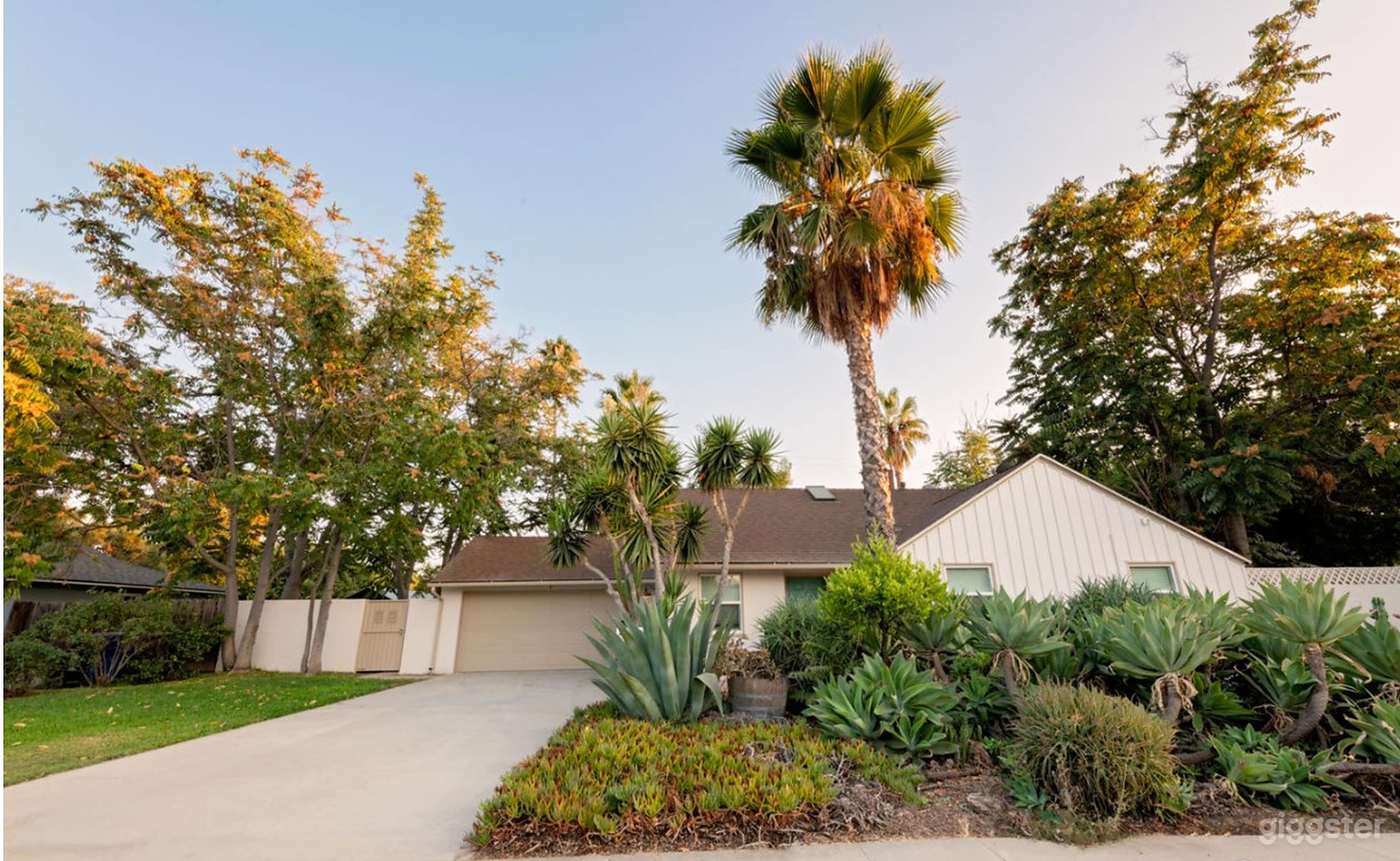 Huge Backyard Open For Film And Production Photo 1