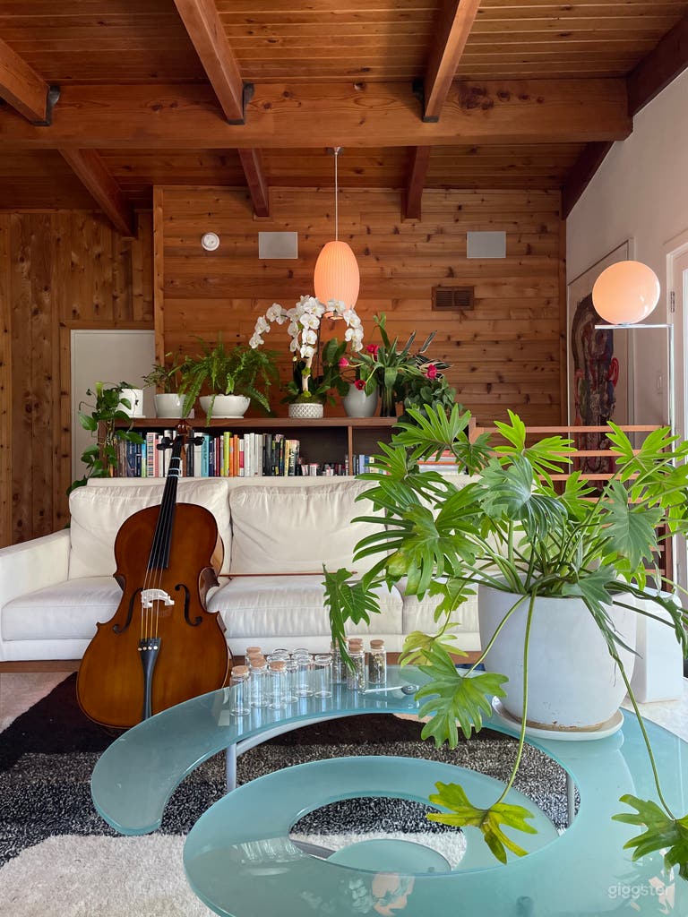  Mid-Century Treehouse 