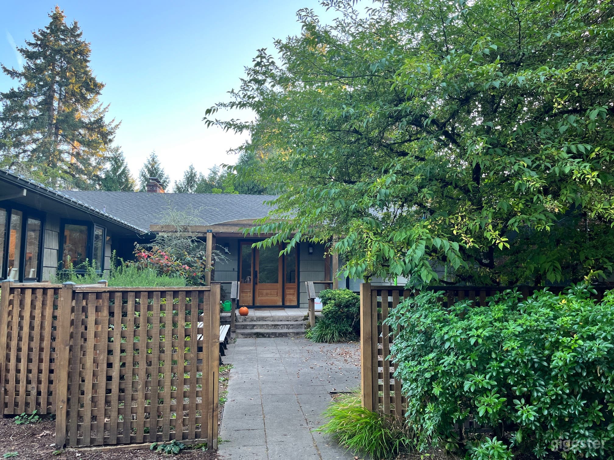NW leafy green front of house. Trampoline to the right.