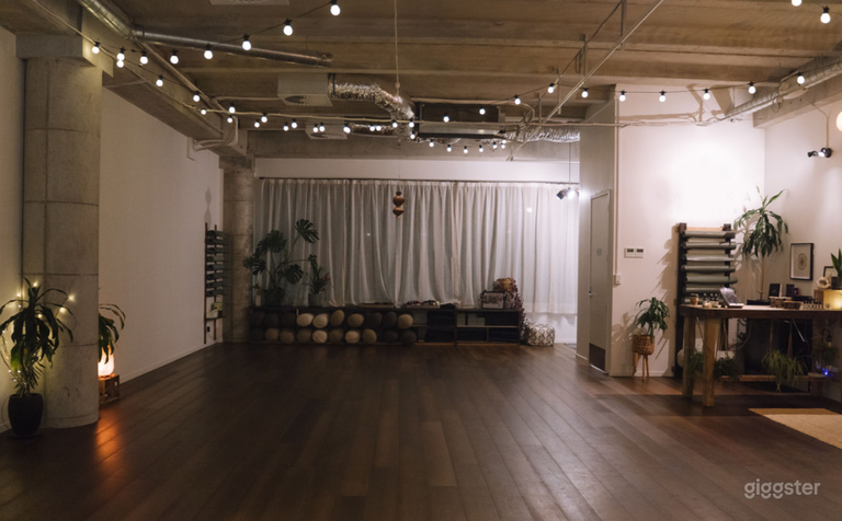  Studio space based in Hobsonville 