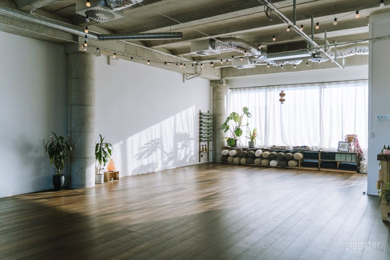  Studio space based in Hobsonville 