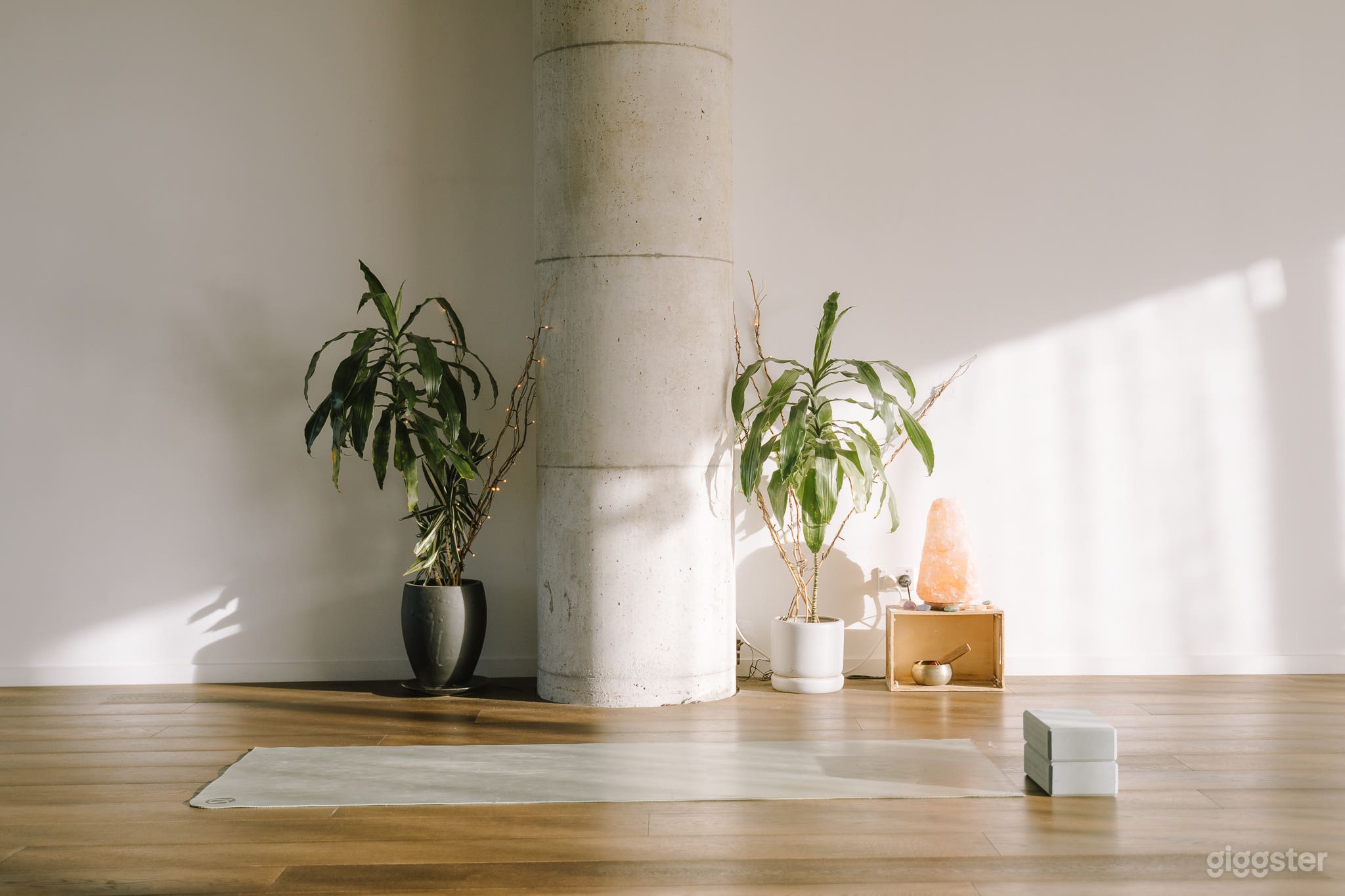 Studio space based in Hobsonville Photo 1