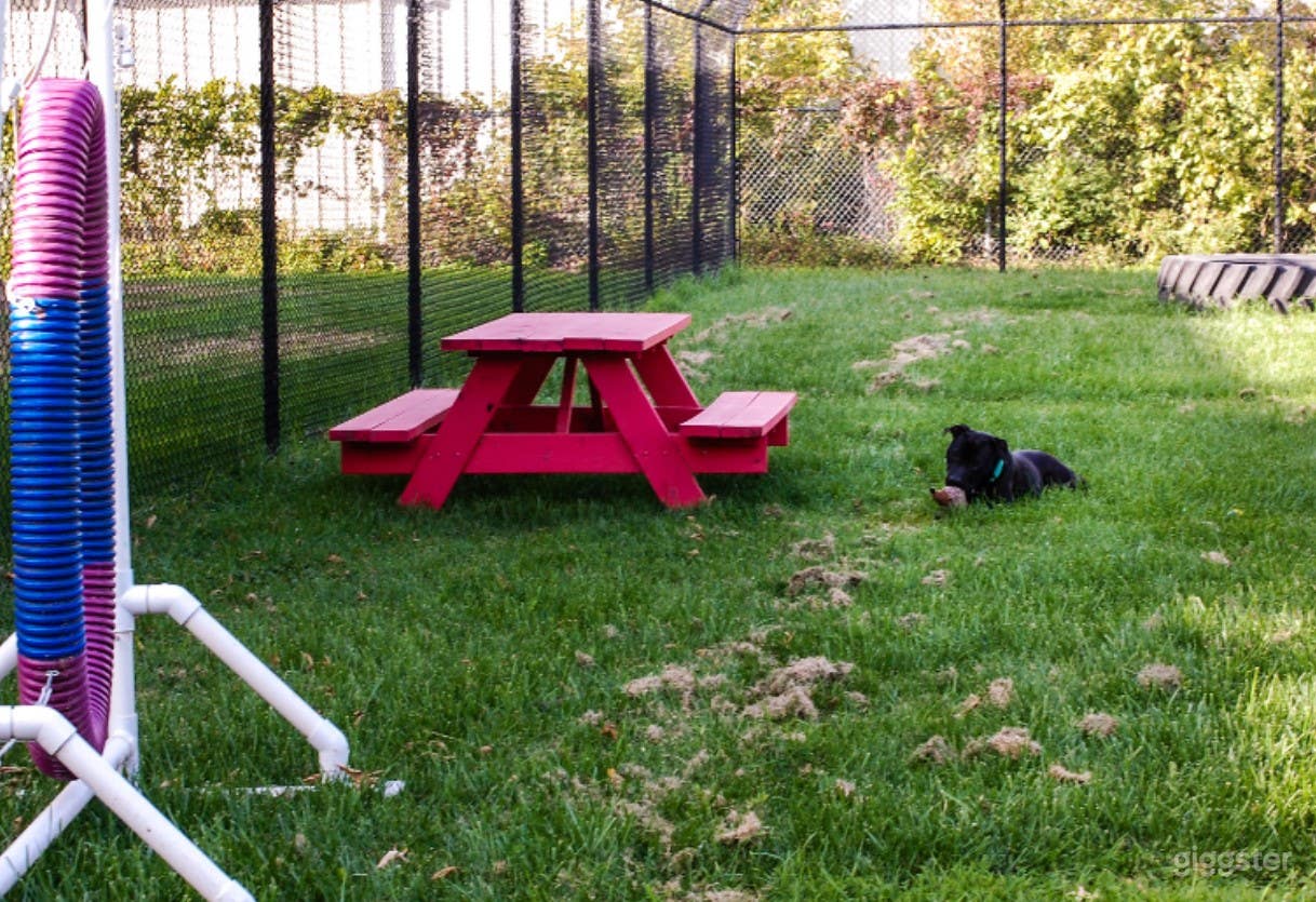 Bailey's Bark Park Photo 3