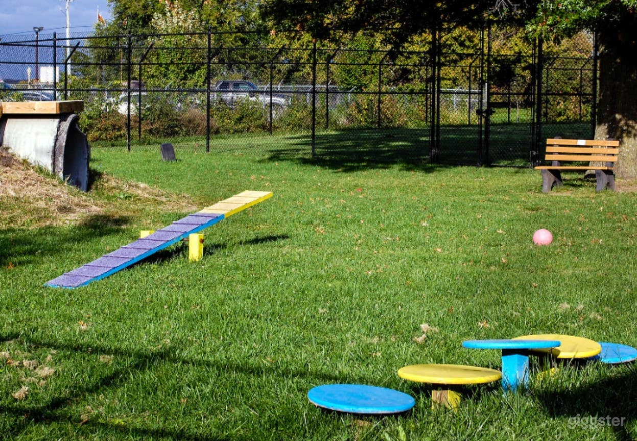 Bailey's Bark Park Photo 1