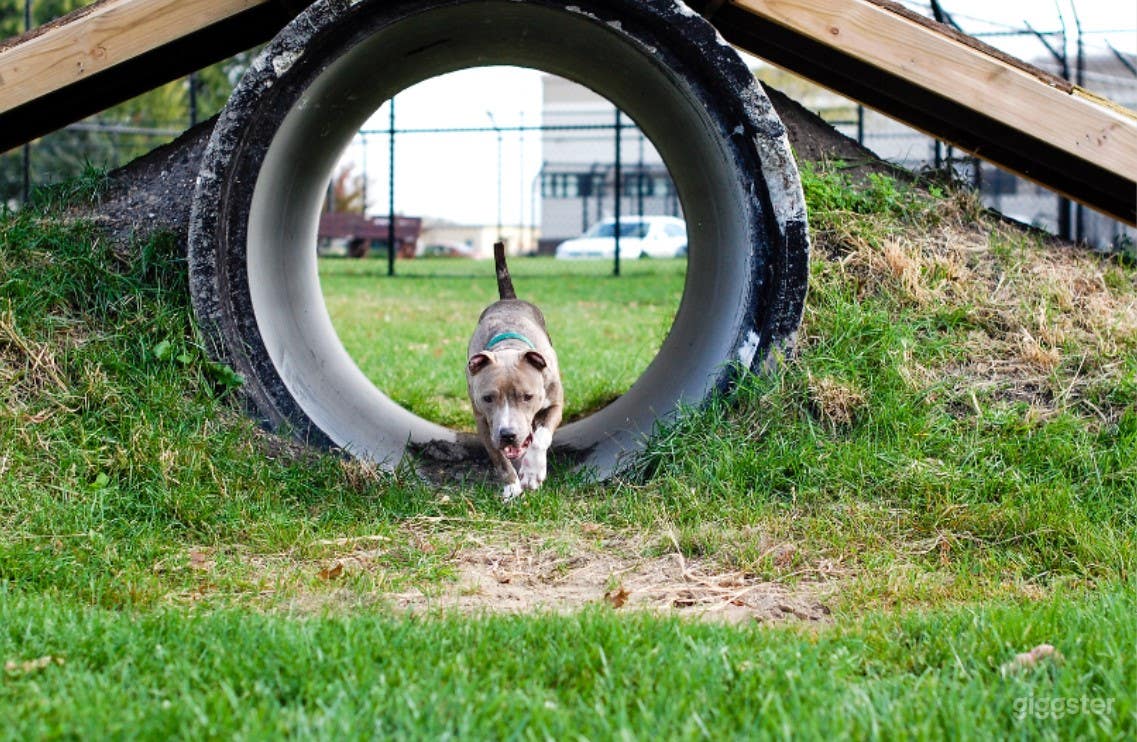 Bailey's Bark Park Photo 4