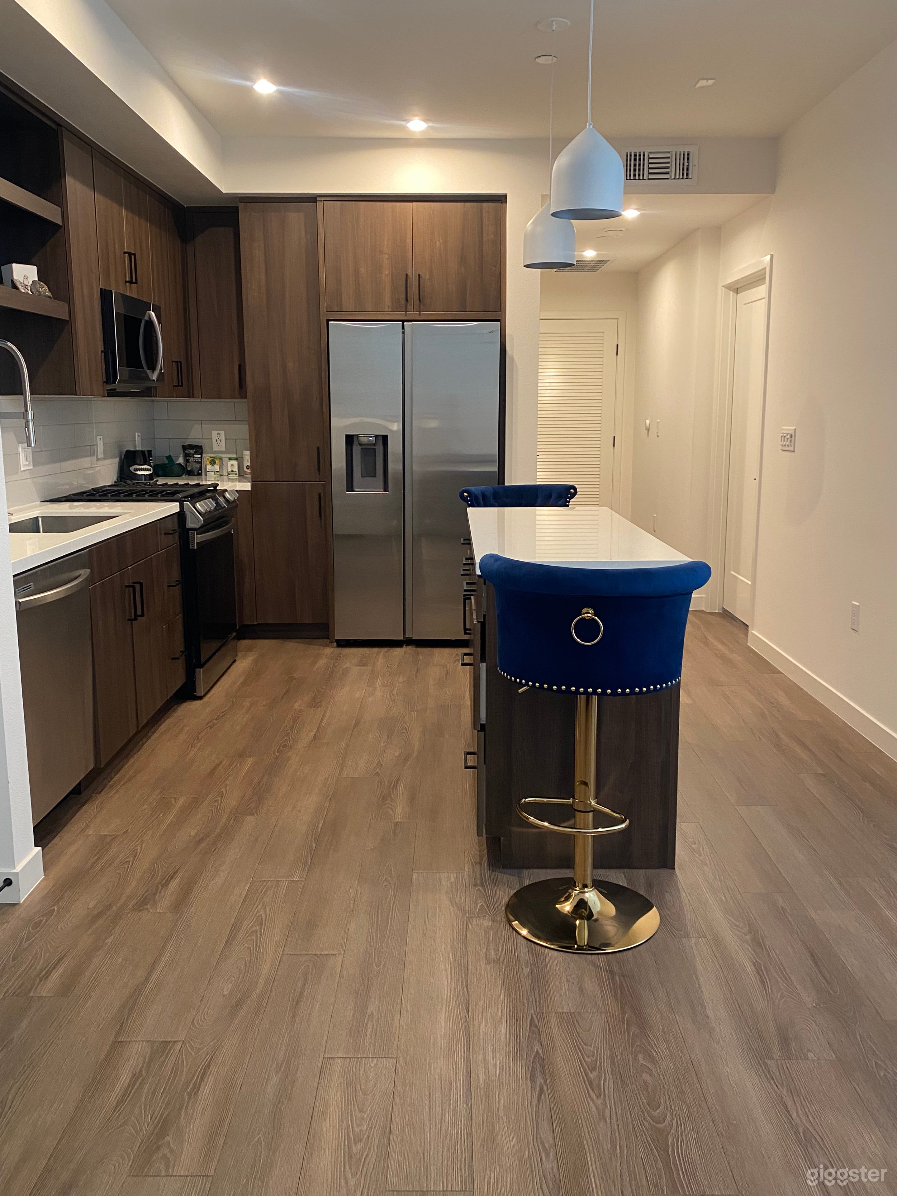 Modern Upscale Apartment Home Photo 1