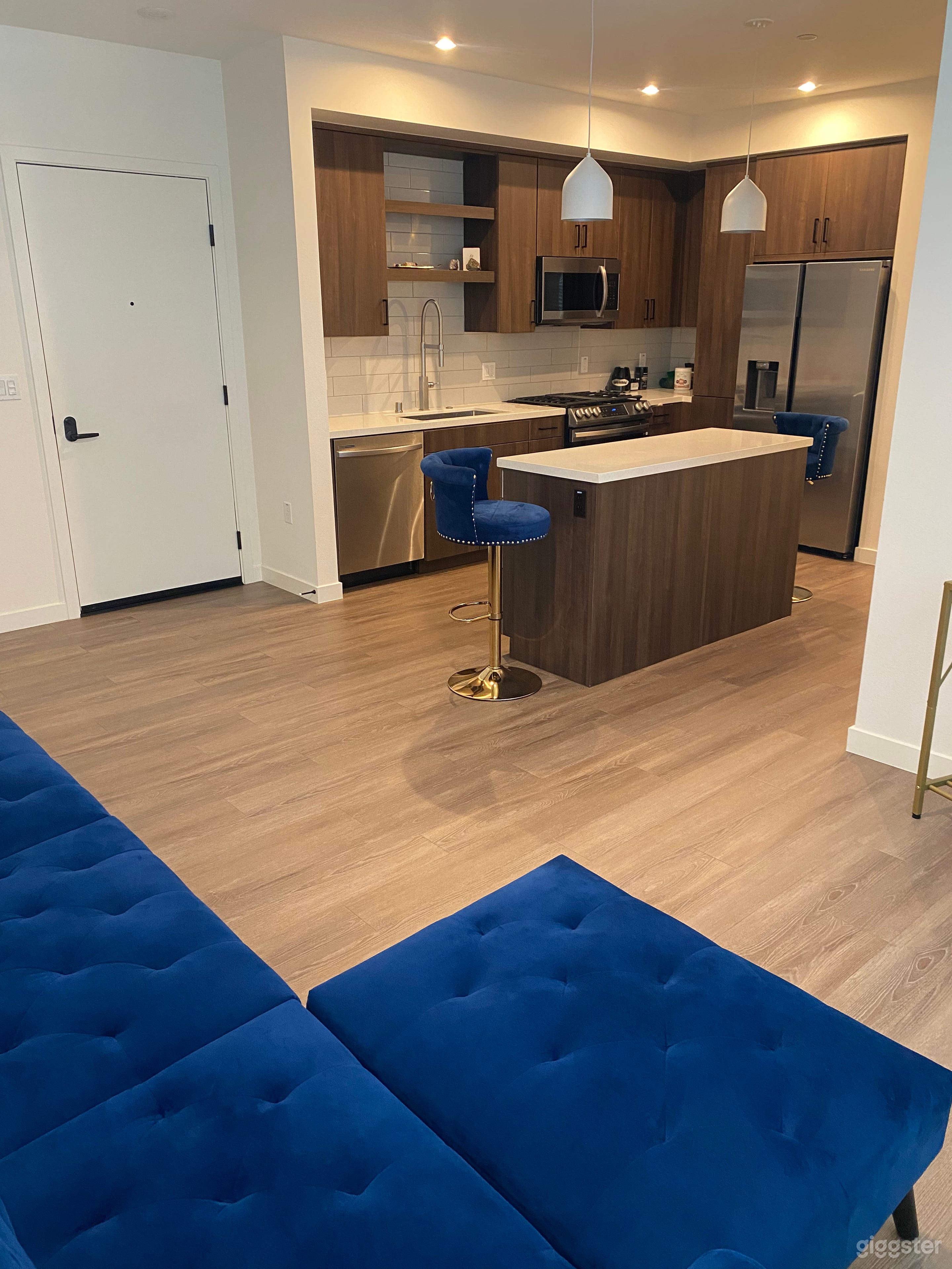 Modern Upscale Apartment Home Photo 2