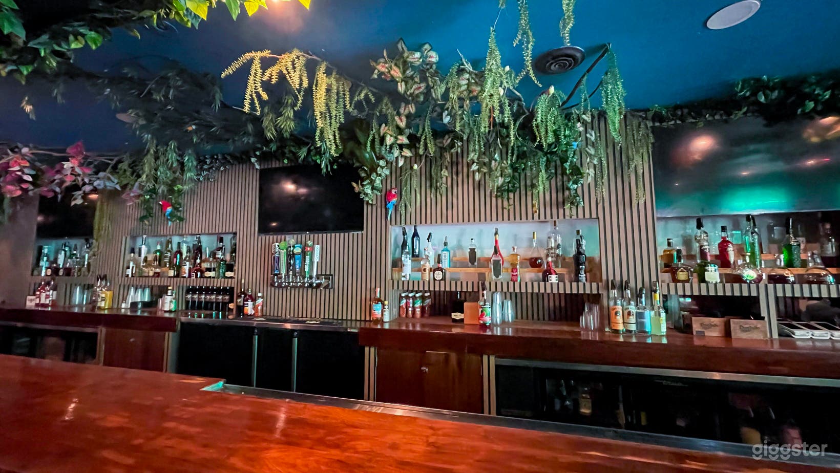 #7004 Bar Club Hollywood Photo 3