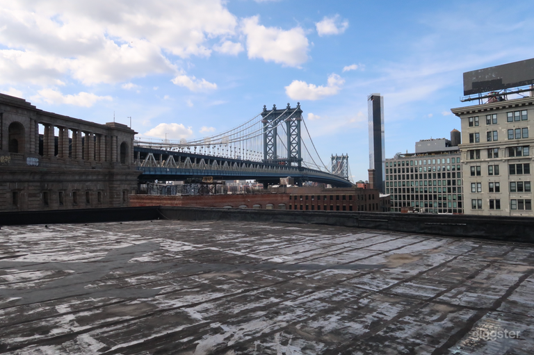  NYC SKYLINE/BRIDGE VIEW ROOFTOP 