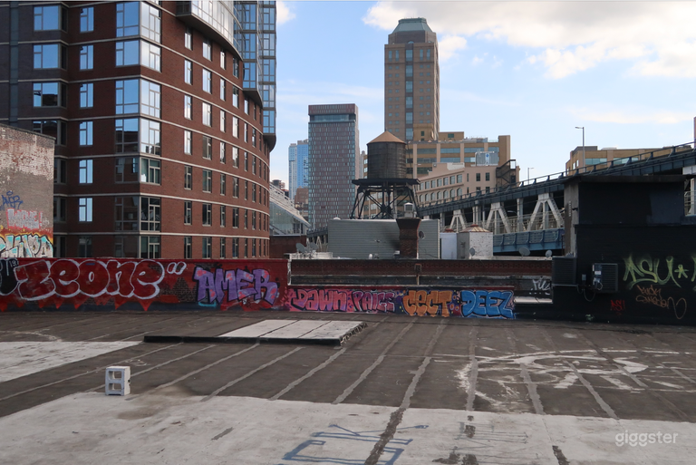  NYC SKYLINE/BRIDGE VIEW ROOFTOP 