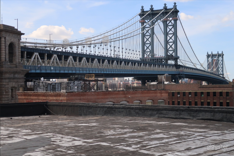  NYC SKYLINE/BRIDGE VIEW ROOFTOP 