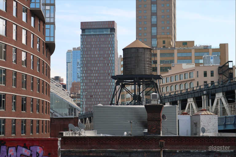  NYC SKYLINE/BRIDGE VIEW ROOFTOP 