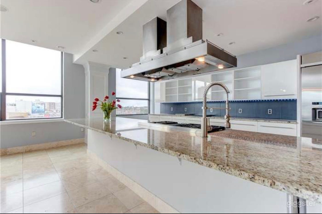 Contemporary Downtown Condo  Photo 4