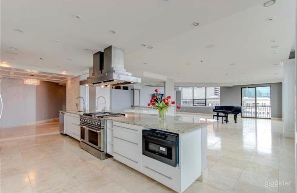 Contemporary Downtown Condo  Photo 3