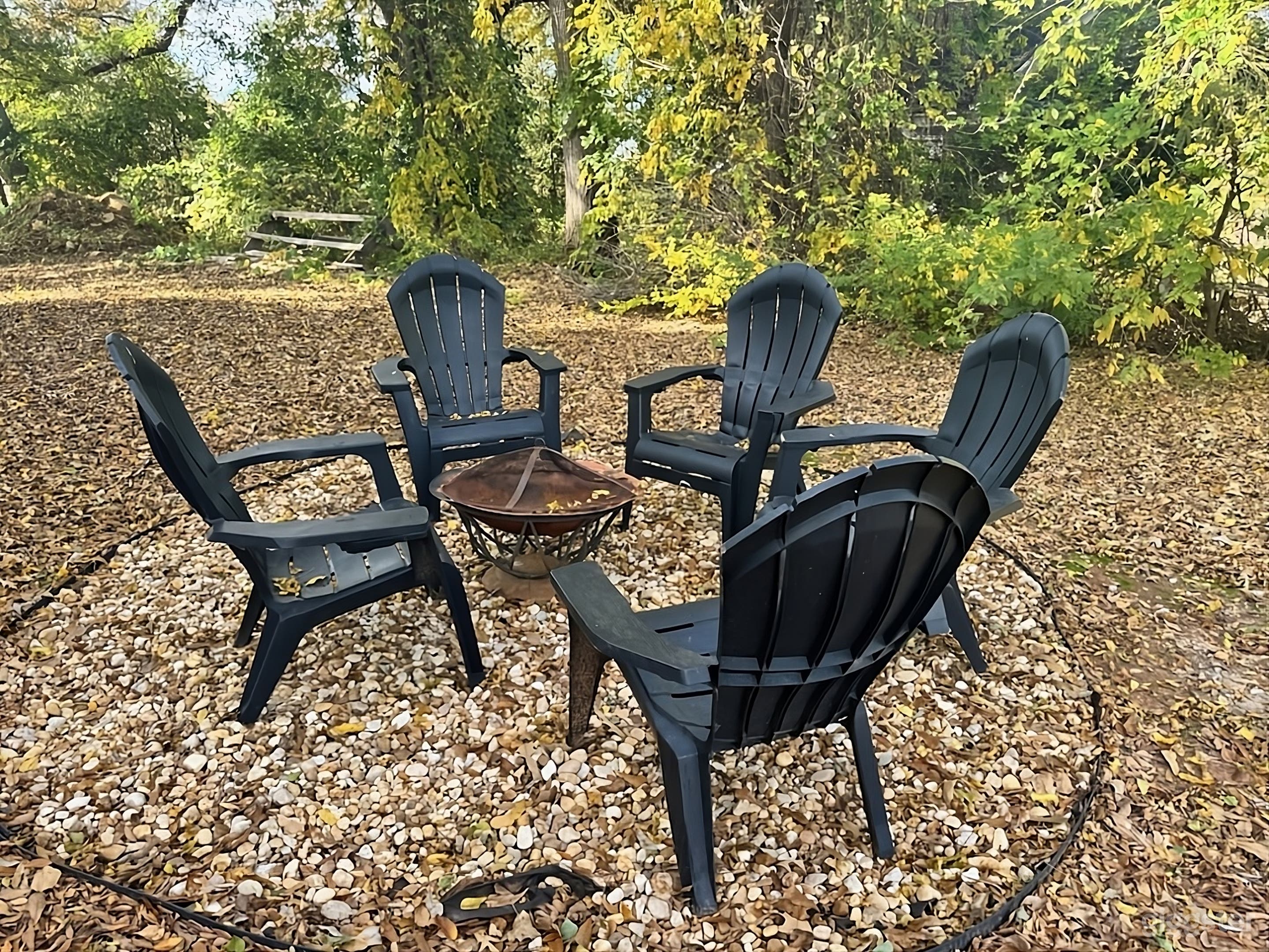 Charming Leafy Backyard Photo 3