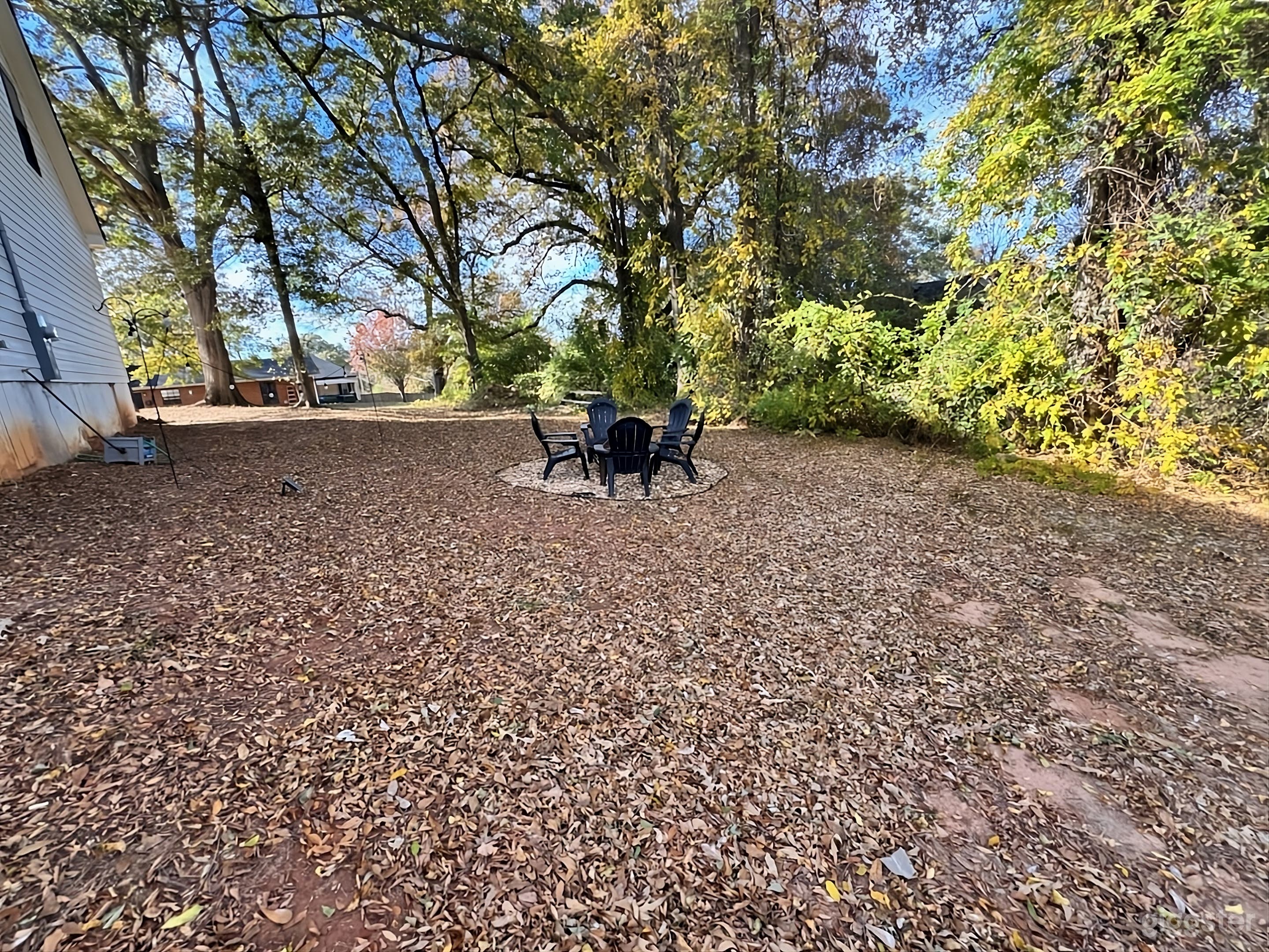 Charming Leafy Backyard Photo 1