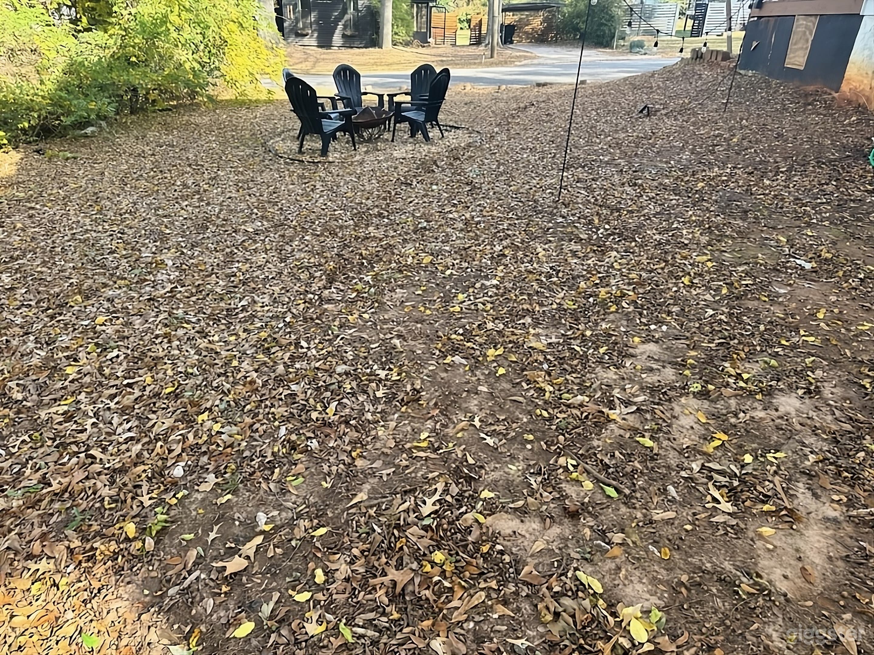 Charming Leafy Backyard Photo 2