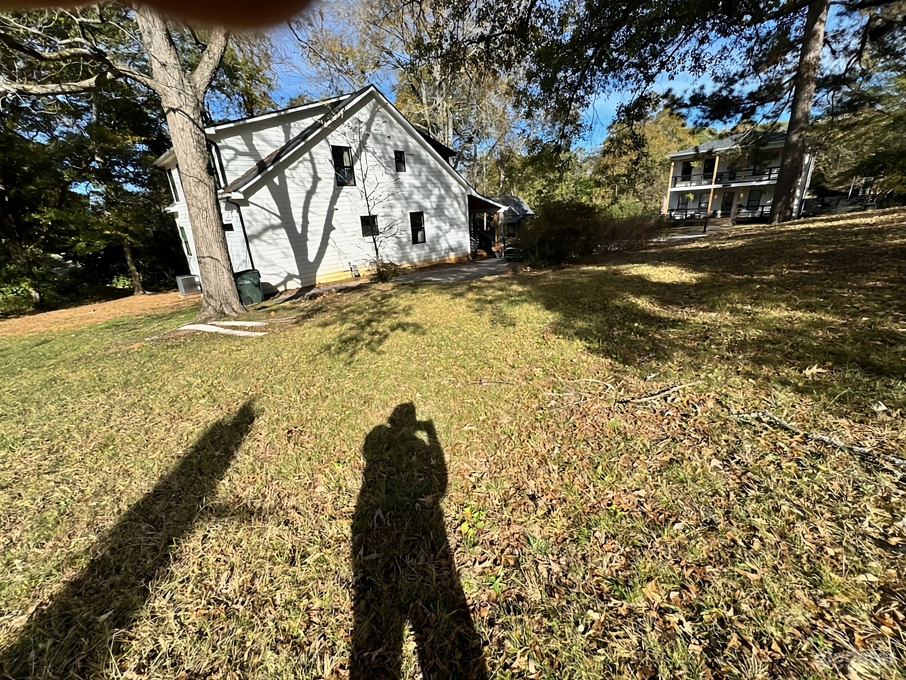 Charming Leafy Backyard Photo 4