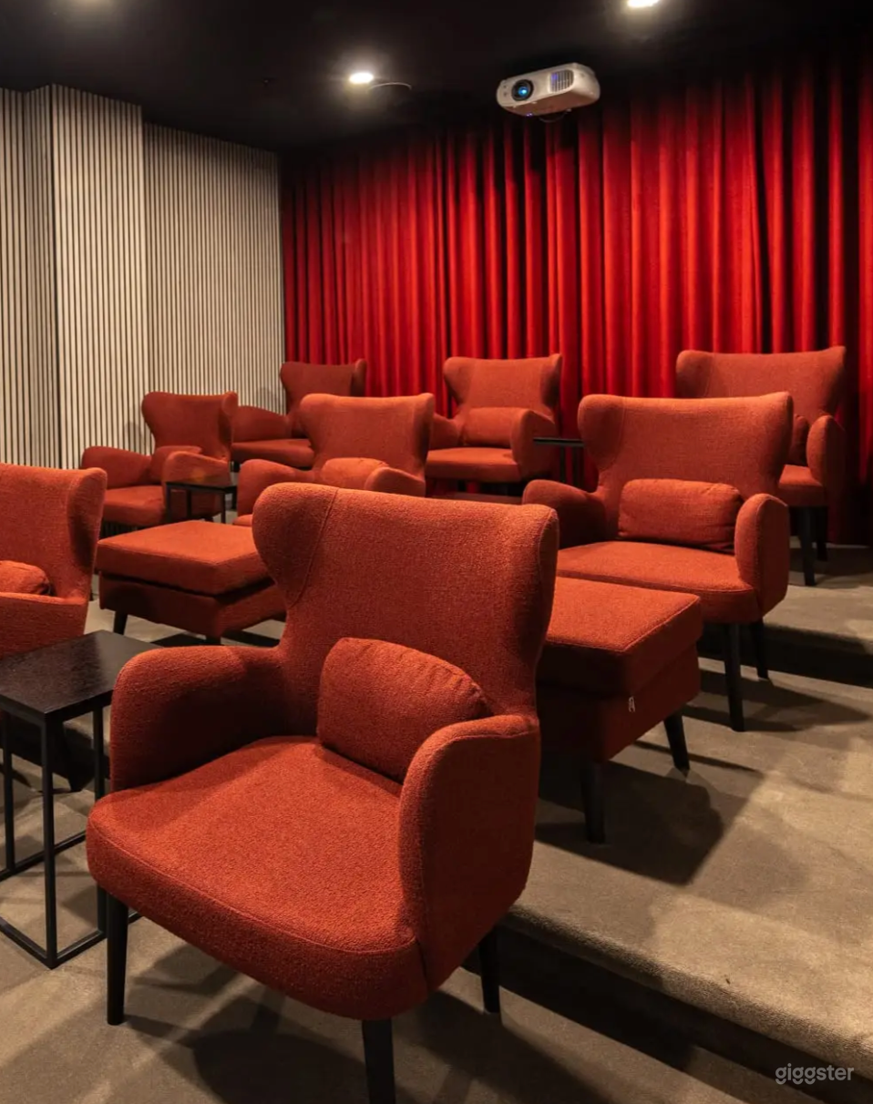 Modern Screening Room  Photo 3