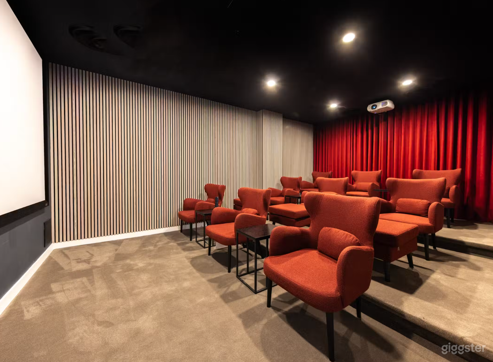 Modern Screening Room  Photo 2