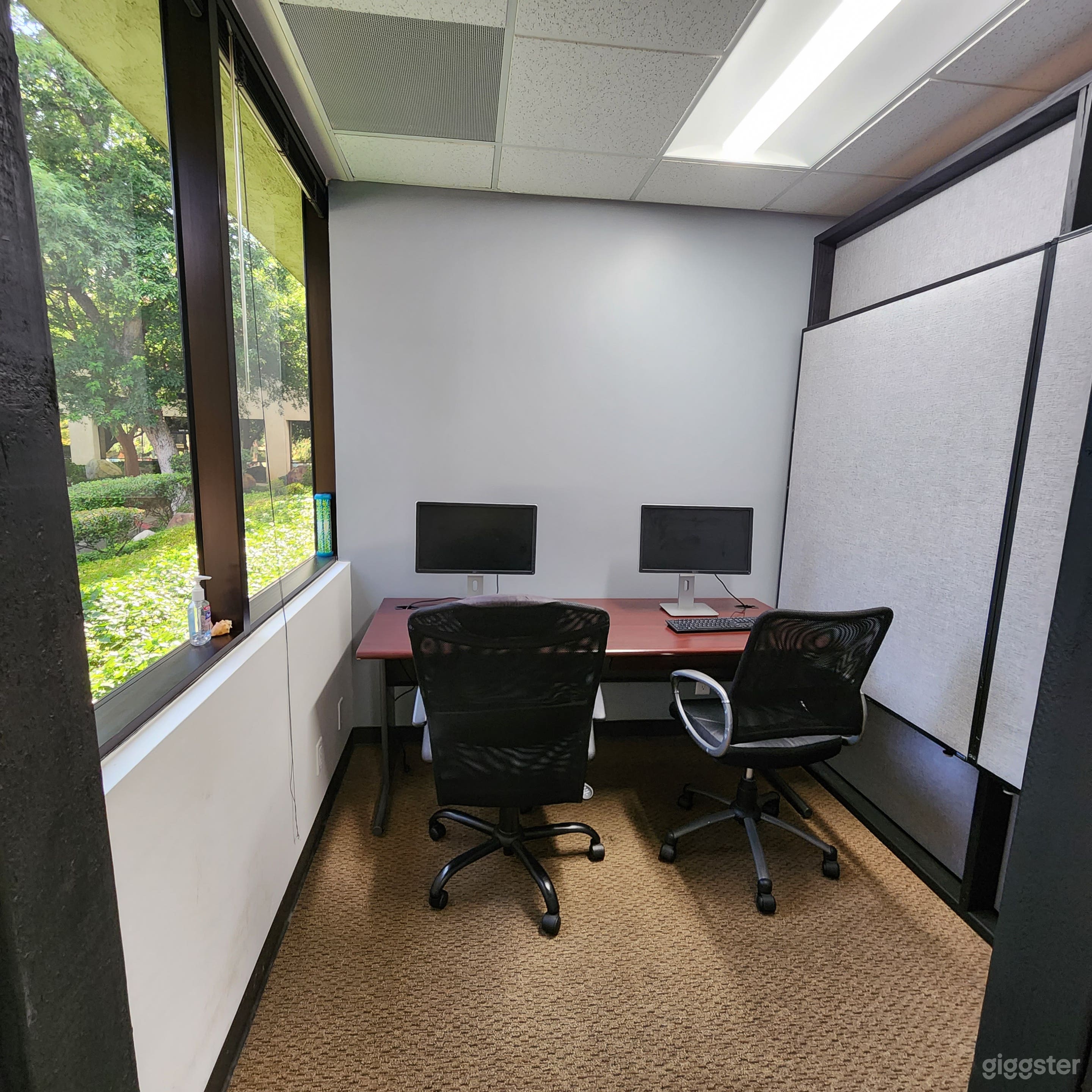 Private Office Cabin 1