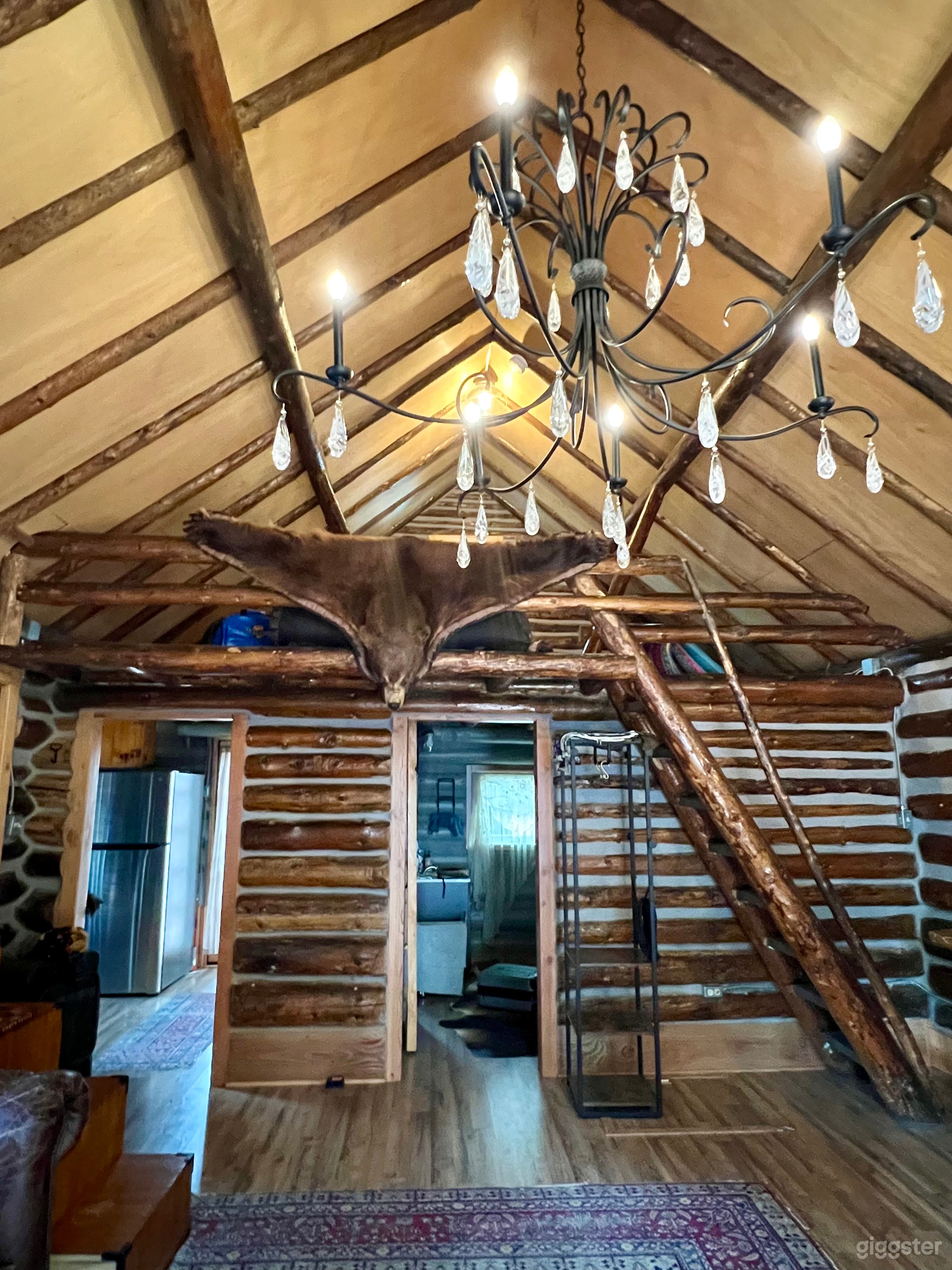 Bear Rug hanging from loft. 