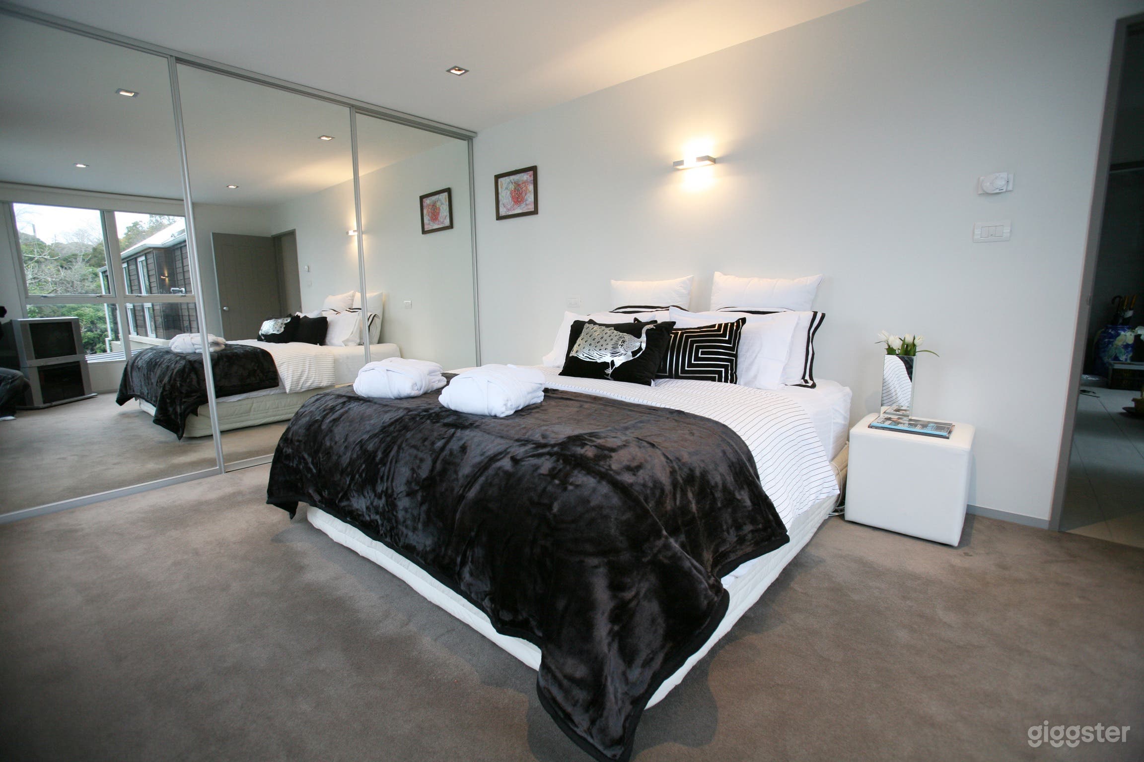 Sun Drenched Central City Oasis Photo 4