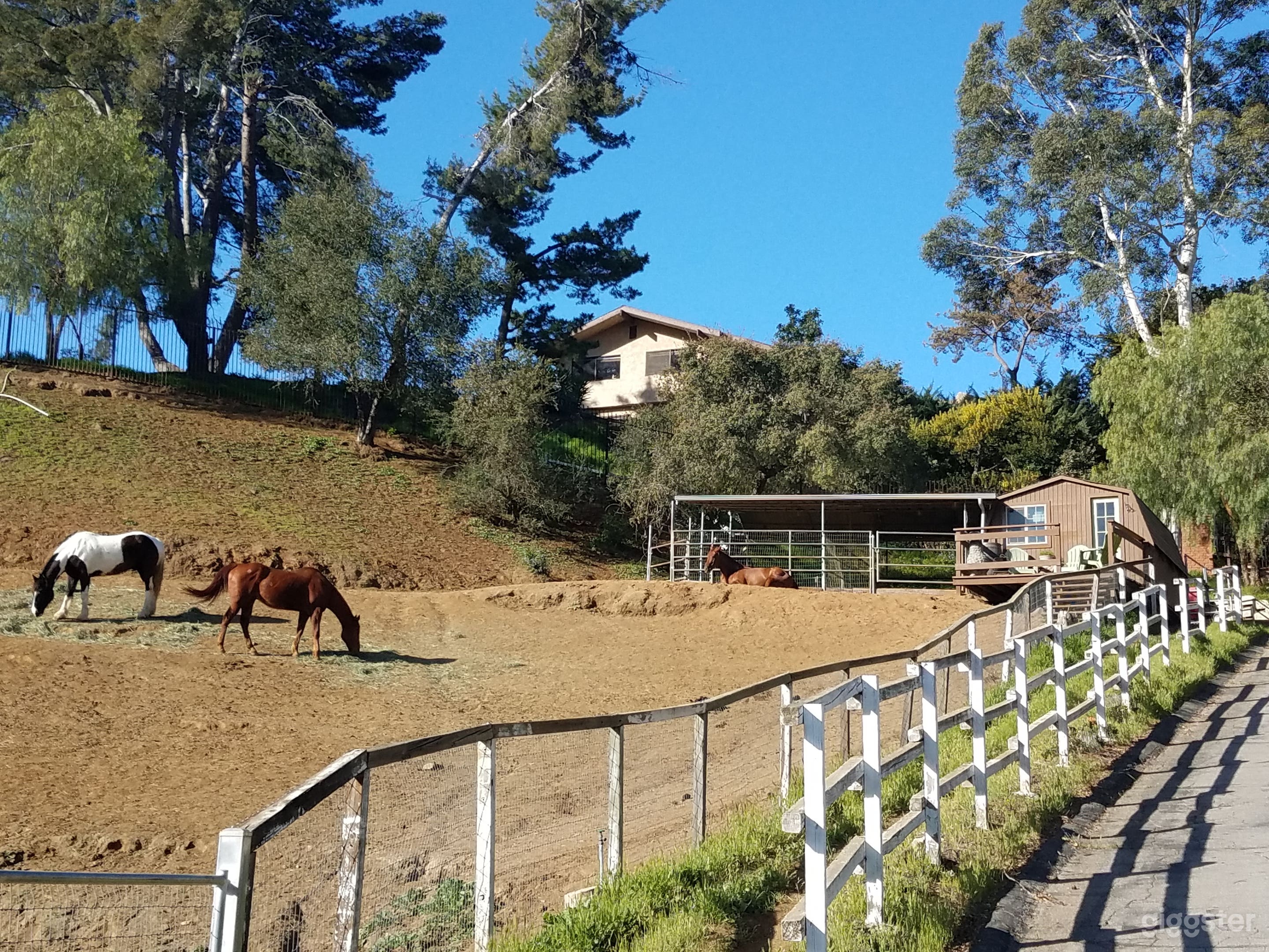 Looking up towards stalls and rear of house on top of the hill
