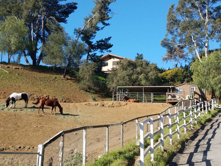  Looking up towards stalls and rear of house on top of the hill 