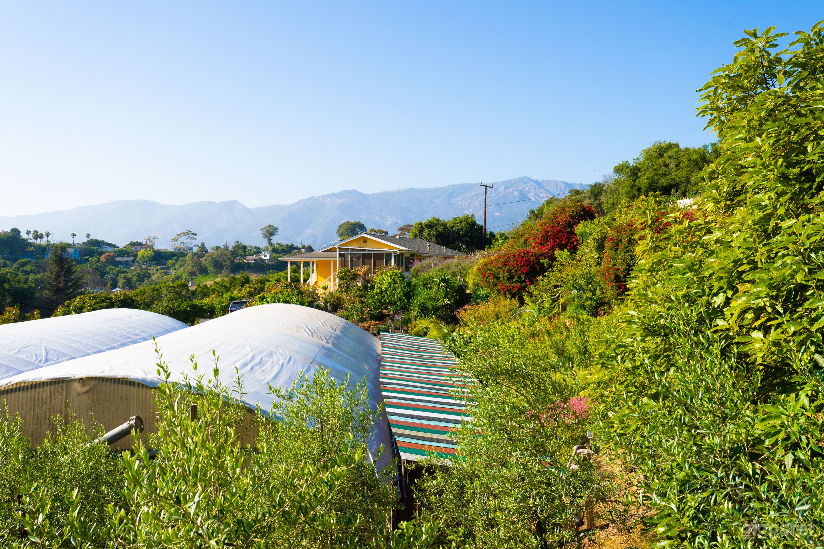 Use the two greenhouses, which have ample space for events and meetings