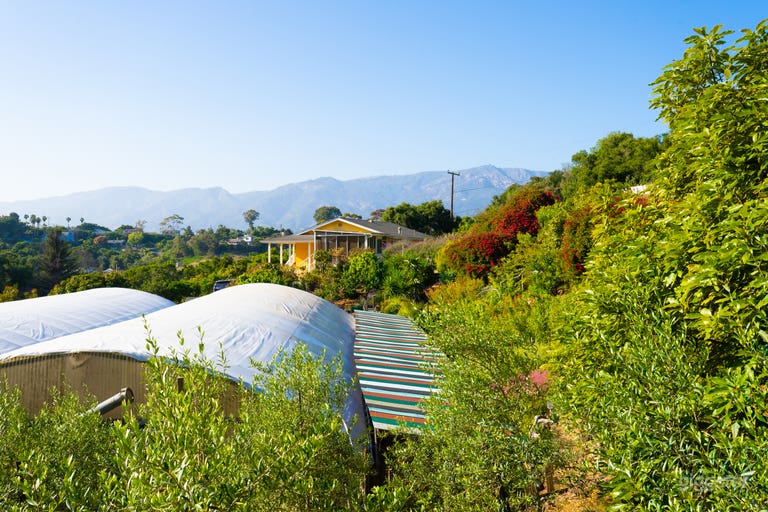  Use the two greenhouses, which have ample space for events and meetings 
