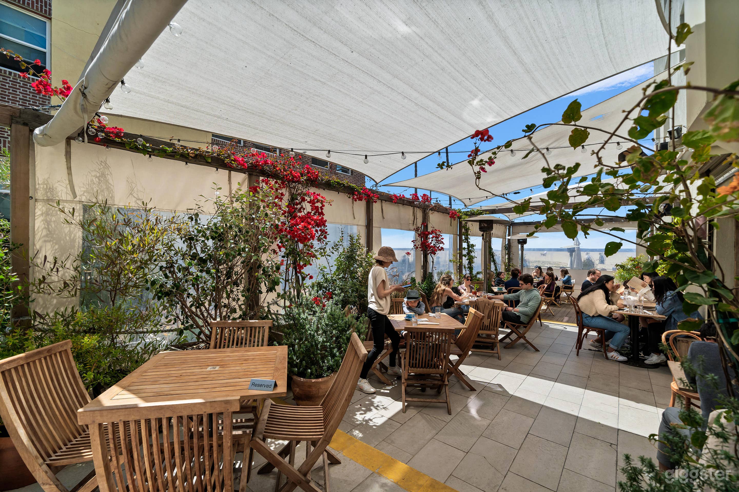 VIBRANT SEASIDE BISTRO  Photo 4