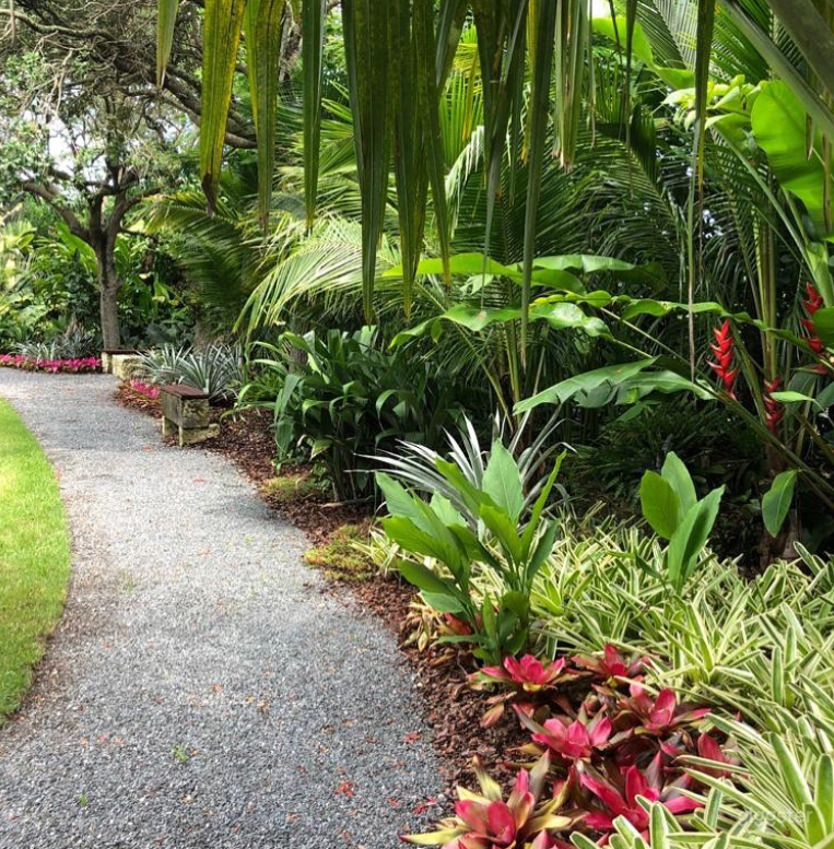 Magical venue nestled in a Natural Oasis  Photo 3