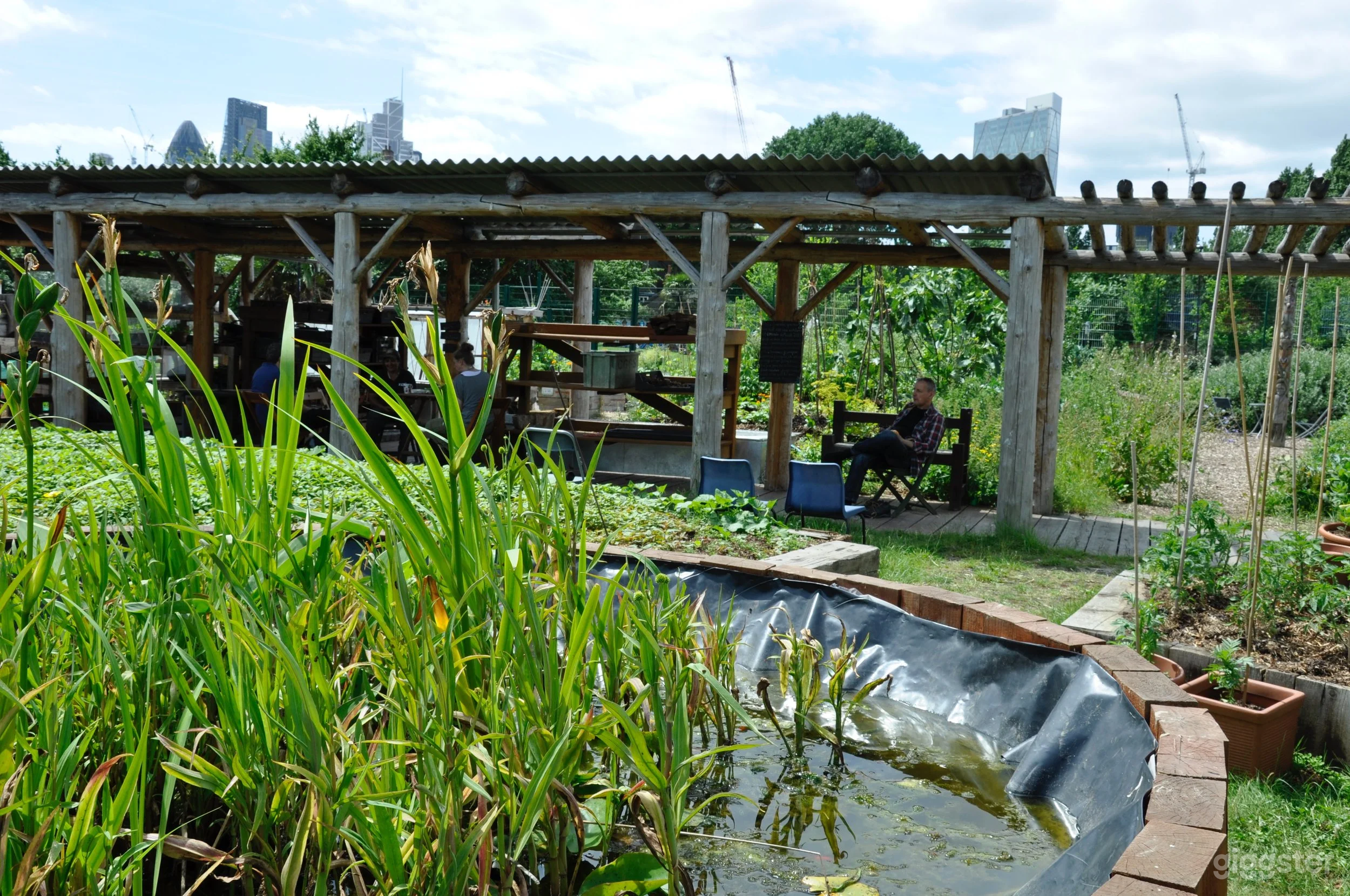 The Covered Walkway Photo 3