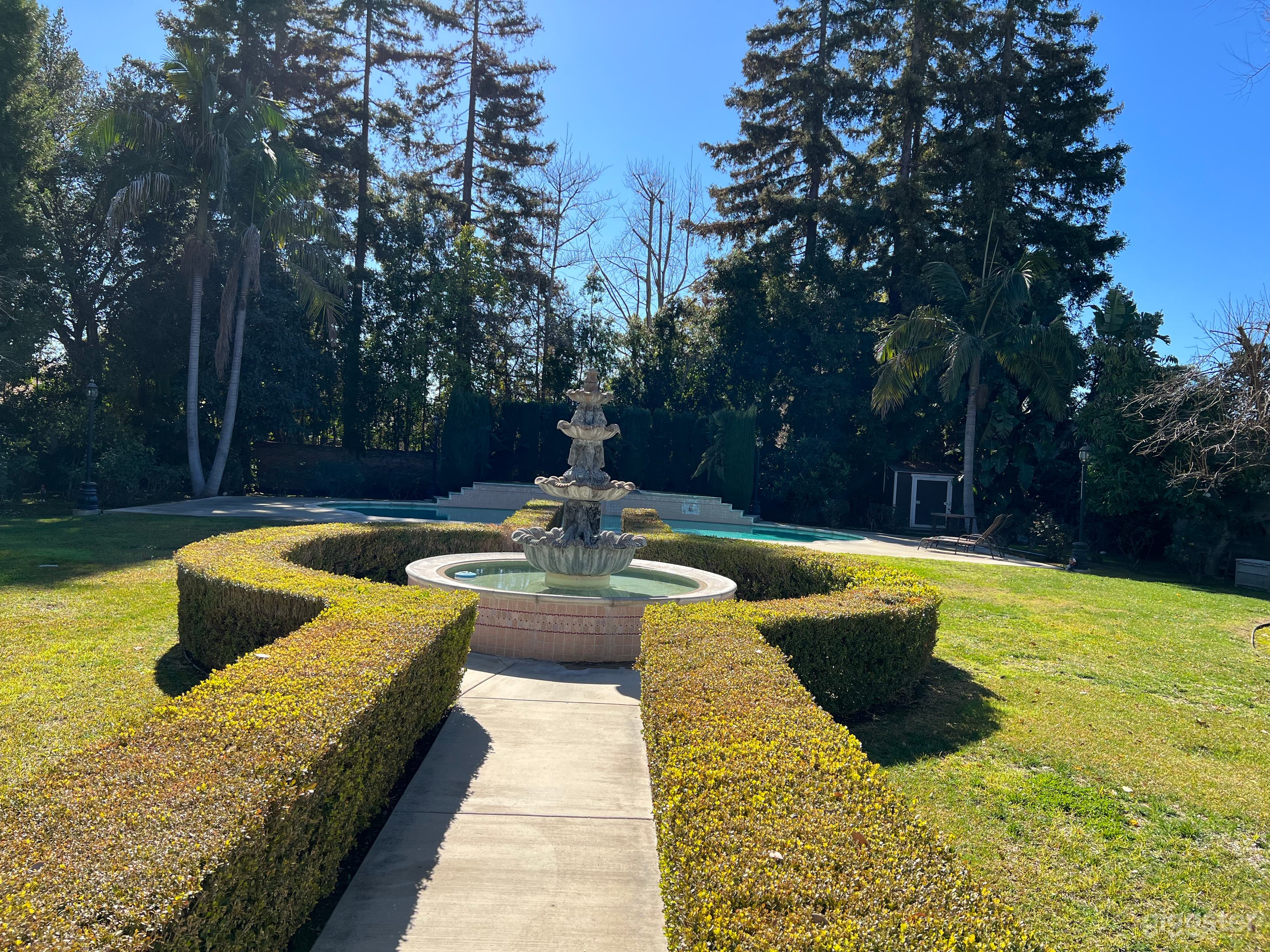Extravagant Pool Garden with a Water Fountain  Photo 3